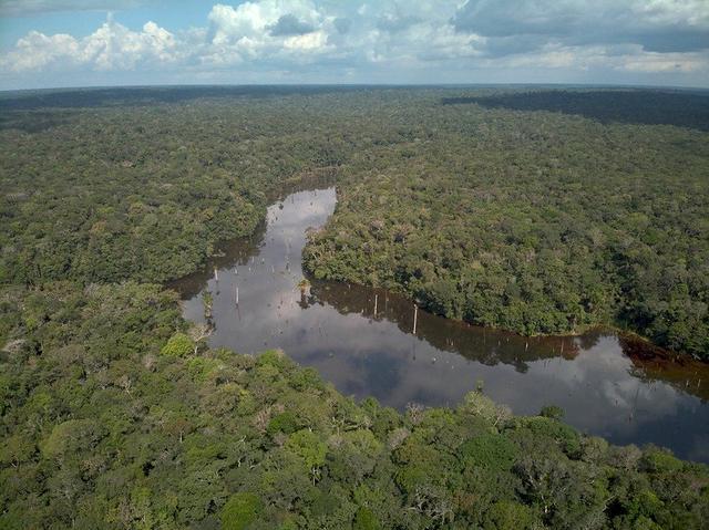 地球生物演化史顺序图_地球最初的生物_地球生物的起源与演化