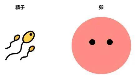 地球最初的生物_地球生物演化史顺序图_地球生物的起源与演化