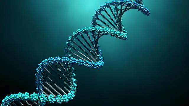 地球生物的起源与演化_地球最初的生物_地球生物演化史顺序图