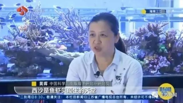 别让珊瑚成为下一个“长江白鲟”