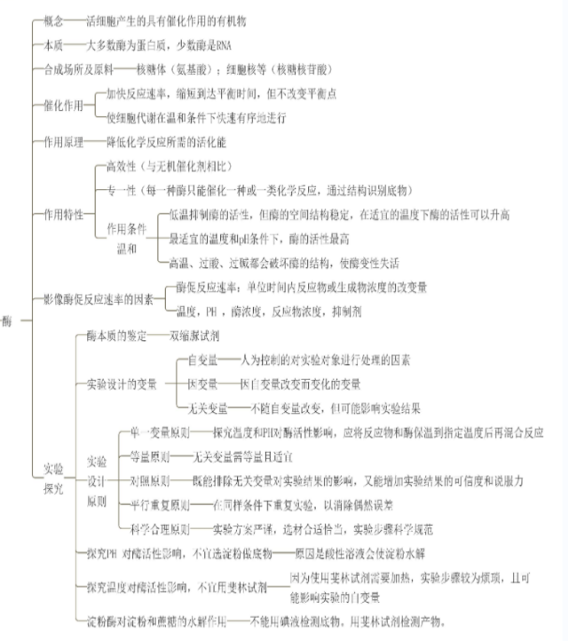 初高中衔接 | 专题05 细胞的能量供应和利用