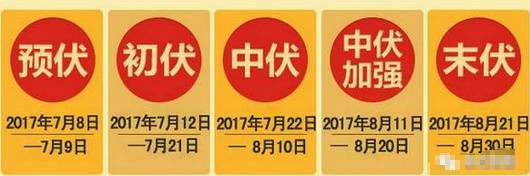 三伏天养生知识大总结!想看的都在这里！