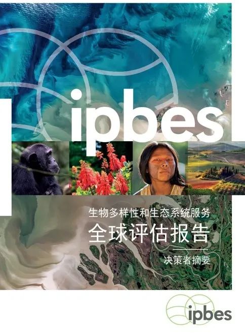 生物多样性公约中_生物多样性公约作用_生物多样性公约目的