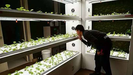 西藏奇闻异事有哪些_西藏奇闻_西藏奇事