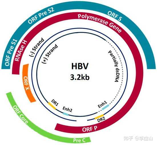 简述生物药物的分类和特点？