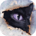 黑猫奇闻_黑猫奇闻社第五章攻略_黑猫奇闻社第二章攻略