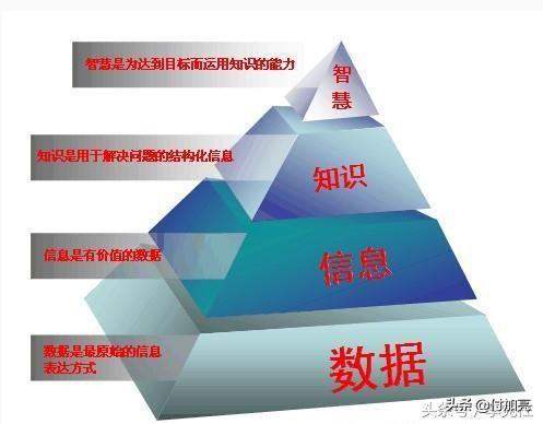 什么知识最有用？