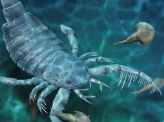 拓展 | 五次生物大灭绝
