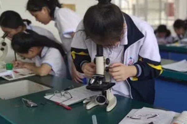 高二的生物难学吗？
