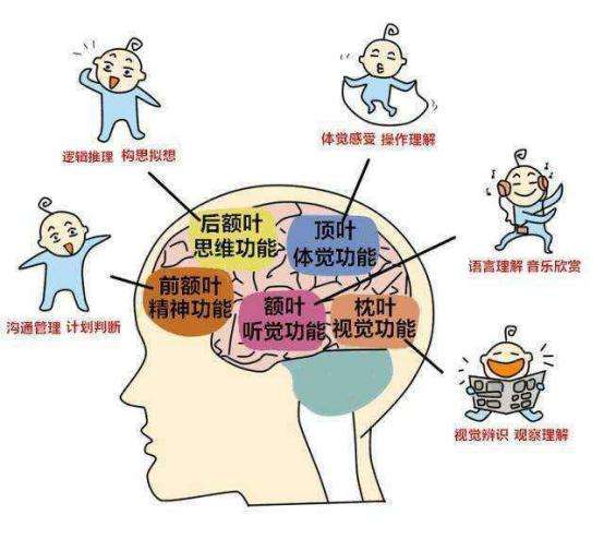 三个技巧，让你从知识的学习当中，提升自己的聪明系数