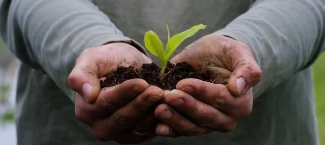 生物界的规律_世间生物规律_世间的规律是什么