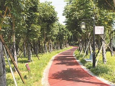 城乡体育部分生活里有哪些_城乡里的体育生活部分_城乡体育设施