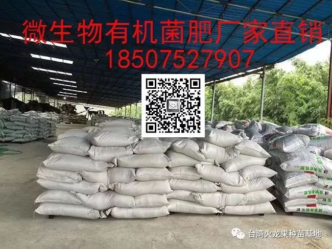 中国生物菌肥十大厂家_国内最好生物菌肥厂家_中国最好的十大名牌生物菌肥