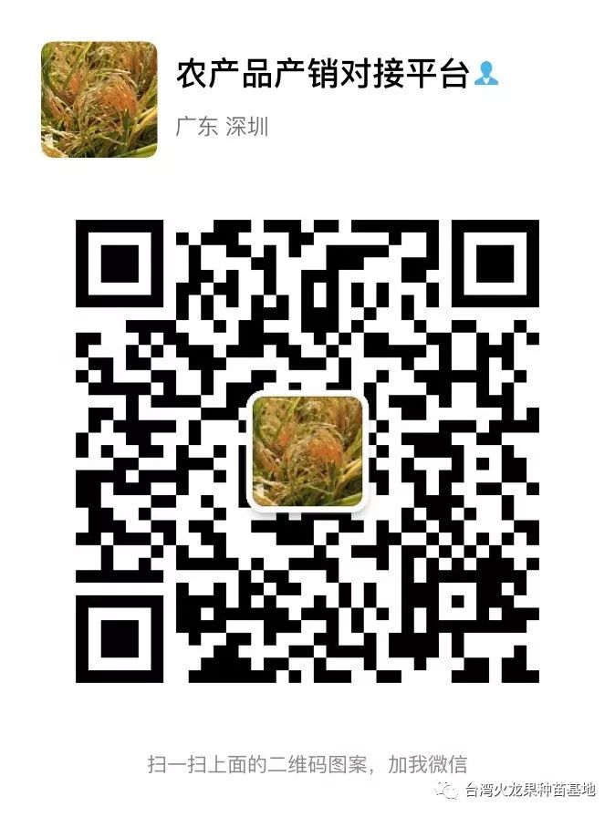 中国最好的十大名牌生物菌肥_中国生物菌肥十大厂家_国内最好生物菌肥厂家