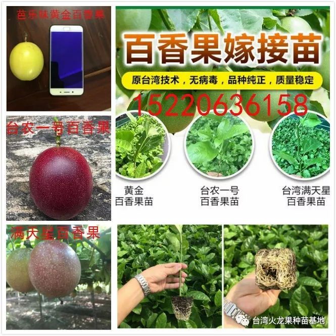 中国最好的十大名牌生物菌肥_国内最好生物菌肥厂家_中国生物菌肥十大厂家
