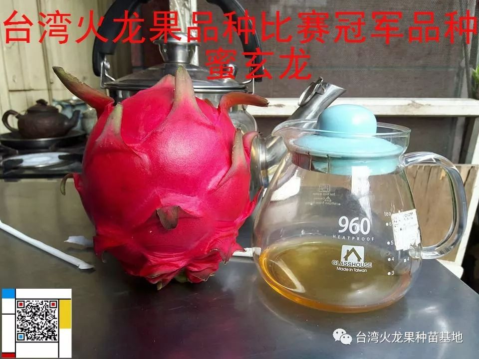 国内最好生物菌肥厂家_中国生物菌肥十大厂家_中国最好的十大名牌生物菌肥