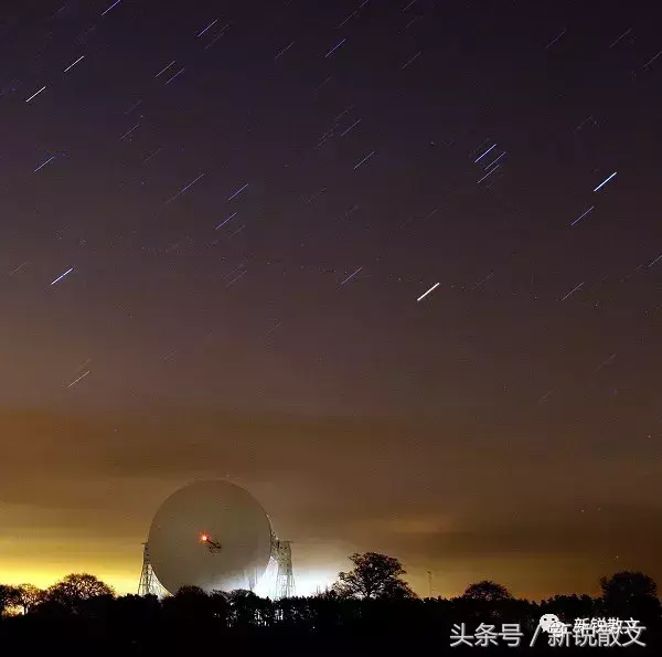 知识分子的良知_良知精神_良知包括
