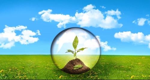 生物共同具有的基本特征有哪些？