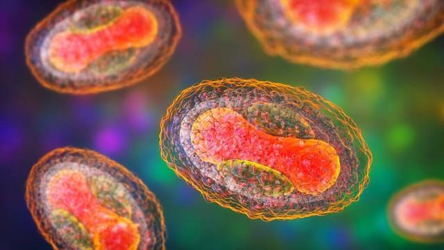 病毒生物是什么意思_病毒为啥是生物_病毒是生物体还是生物