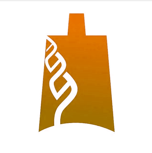 心脏初中生物知识点_心脏初中生物模型手工制作图片_初中生物心脏