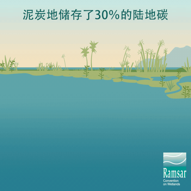 湖泊生物多样性保护_湖泊生物多样性的重要性_湖泊生物多样性