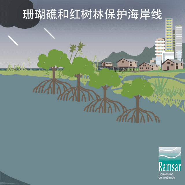 湖泊生物多样性的重要性_湖泊生物多样性保护_湖泊生物多样性