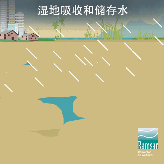 湖泊生物多样性_湖泊生物多样性保护_湖泊生物多样性的重要性