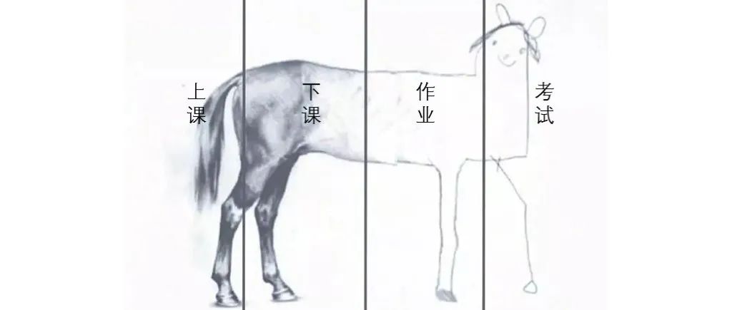 升高中了！初中和高中数学的学习差异