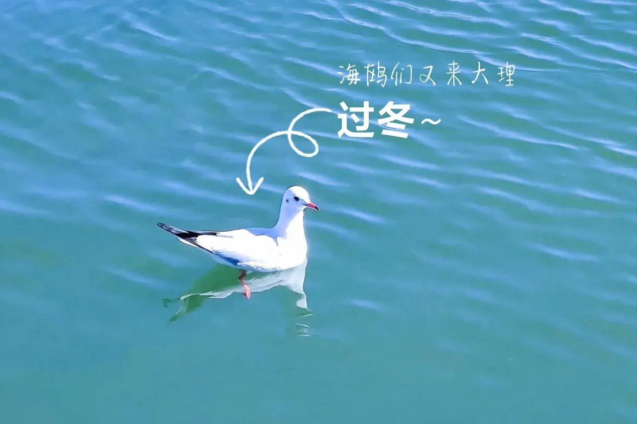 在大理生活一个月多少钱_大理生活费高吗_云南大理生活