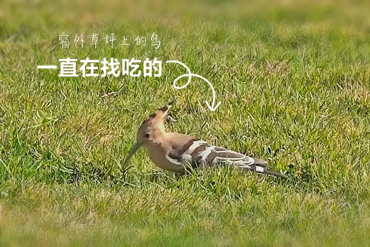 云南大理生活_大理生活费高吗_在大理生活一个月多少钱