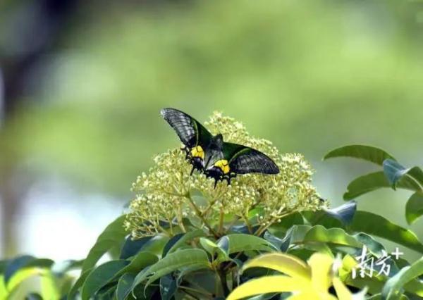 生物世界是什么动物_人世间是什么生物_说人是生物