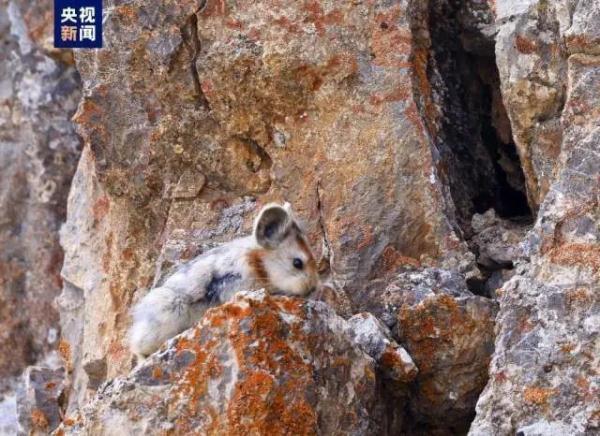 生物世界是什么动物_人世间是什么生物_说人是生物