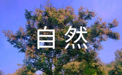 让一切顺其自然的句子