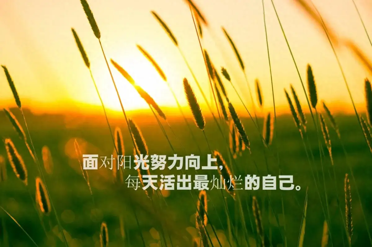 那些社会热点有可能成为高考作文的素材