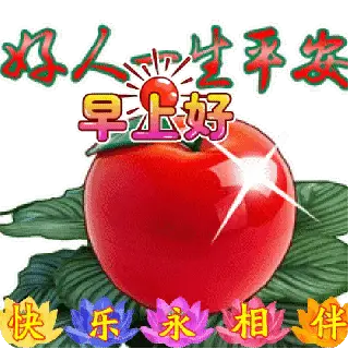 免打字聊天早上好表情图片包 2022夏日最新版早安问候动态图片表情