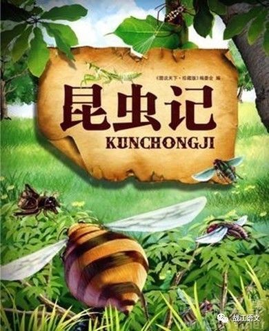 名著导读--《昆虫记》