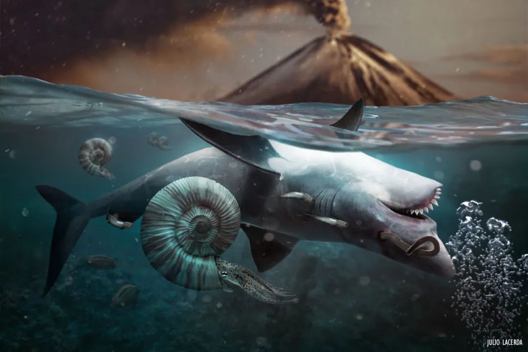 三叠纪生物有哪些_三叠纪生物图鉴_三叠纪生物种类