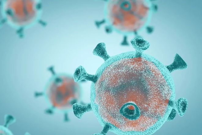 生物医药下跌_九强生物下跌_生物股票最近跌的原因