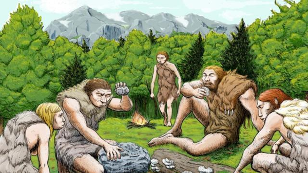 科学生物分类_生物是什么和什么的科学_科学生物学