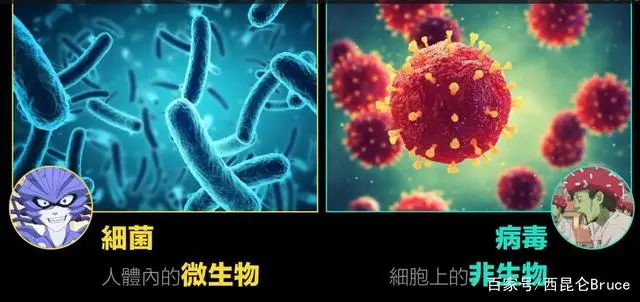 病毒算生物么_病毒算生物体吗为什么_病毒算生物还是非生物