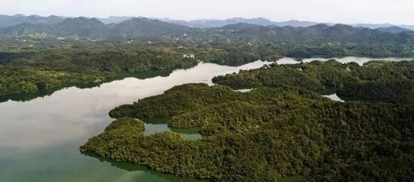 魔兽世界灵翼浮岛寻找真相_生物浮岛的生态效益主要体现在_生物浮岛多少钱
