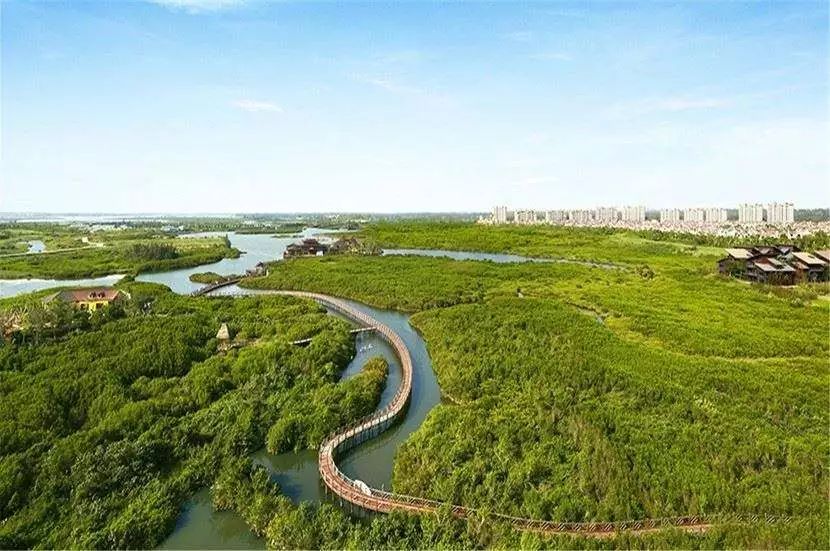 生物浮岛的生态效益主要体现在_生物浮岛多少钱_魔兽世界灵翼浮岛寻找真相