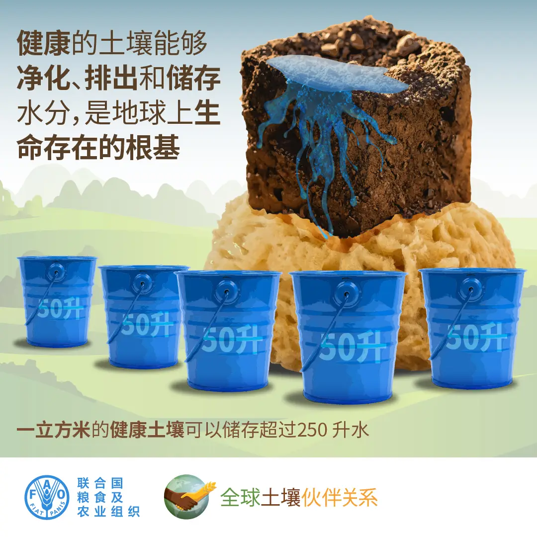 2023年世界土壤日：“土壤和水：生命之源”