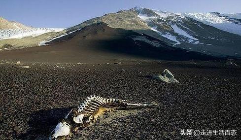 异事奇闻录电视剧_异事奇闻_异事奇闻录游戏