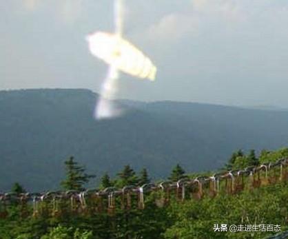 异事奇闻_异事奇闻录电视剧_异事奇闻录游戏