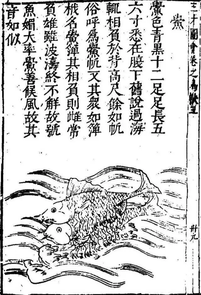 海洋最古老的生物_古老海洋生物图片大全_古老海洋生物十大生物