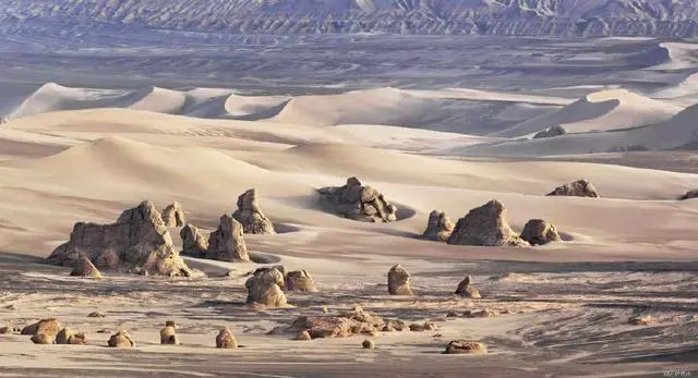 罗布泊的生物_罗布泊到底有什么生物_罗布泊恐怖生物照片揭秘