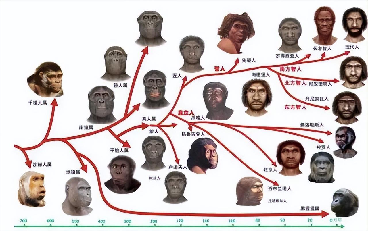地球生物是怎么诞生的_地球第一个生物是什么_地球生物是怎么来的