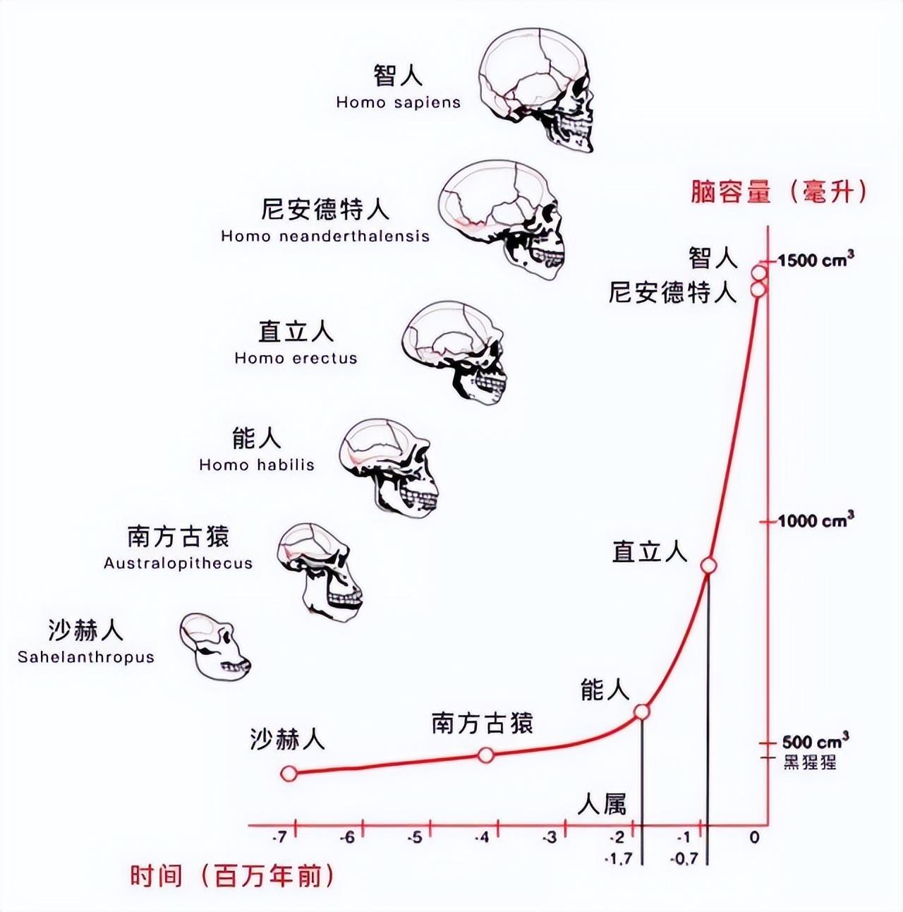 地球第一个生物是什么_地球生物是怎么诞生的_地球生物是怎么来的