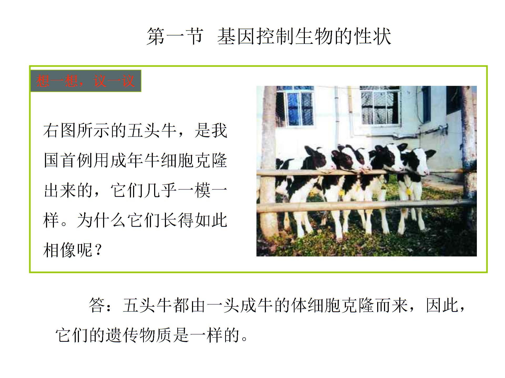 生物八下第二章第一节基因控制生物的性状